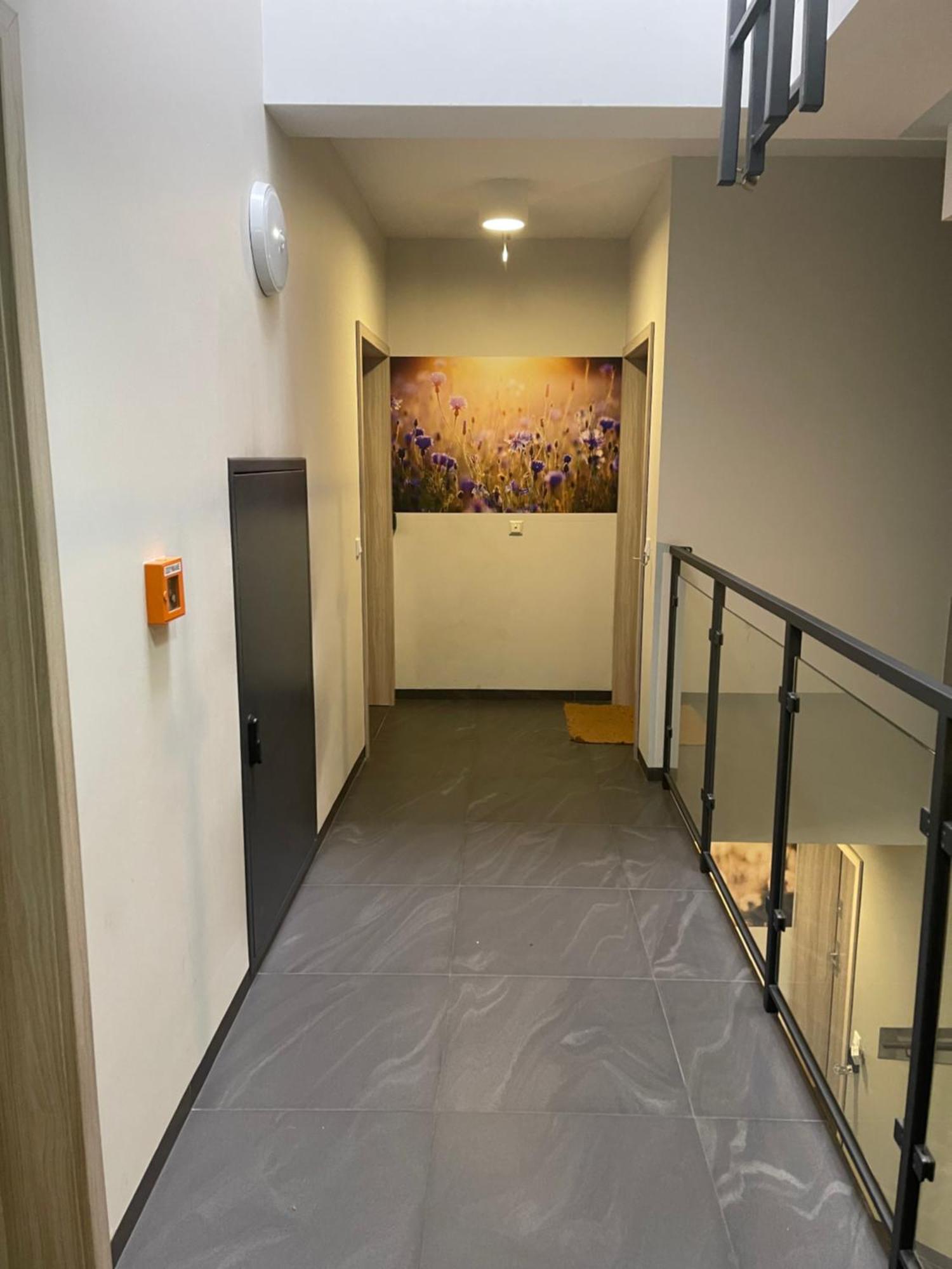 Sunflower Apartment Old Town クラクフ エクステリア 写真